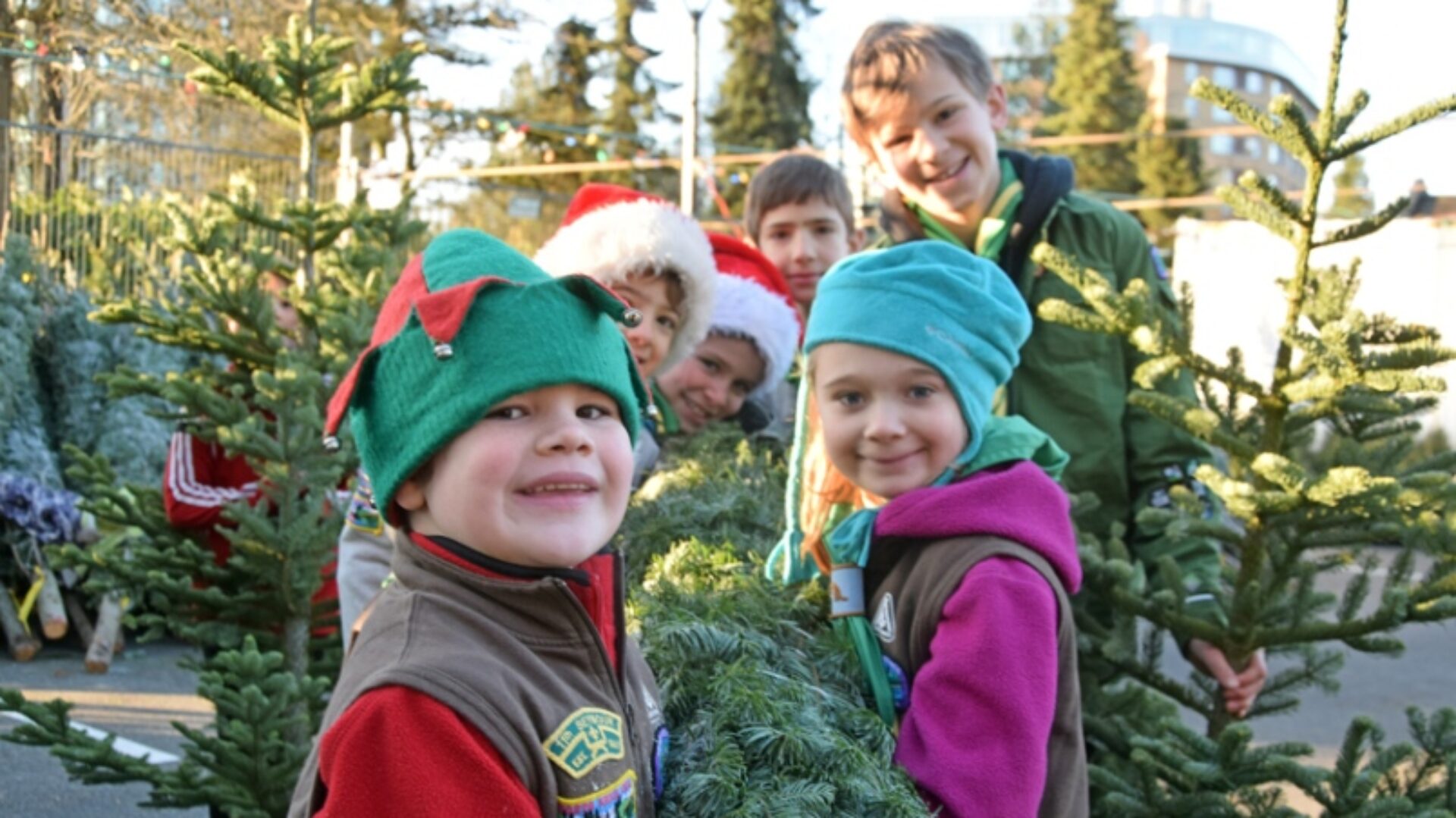 Tree lot